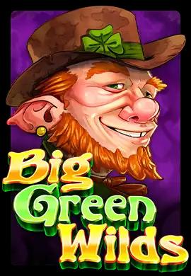  Online Slots - Wacko Online Casino