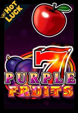  Online Slots - Wacko Online Casino