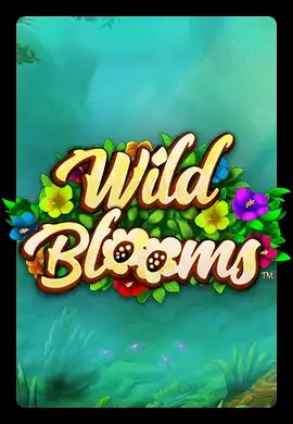  Online Slots - Wacko Online Casino