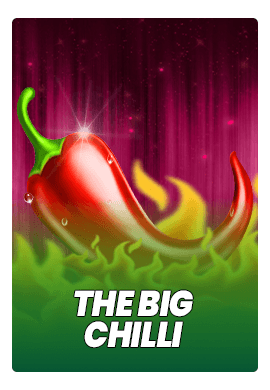  Online Slots - Wacko Online Casino