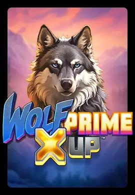  Online Slots - Wacko Online Casino