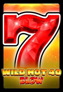  Online Slots - Wacko Online Casino