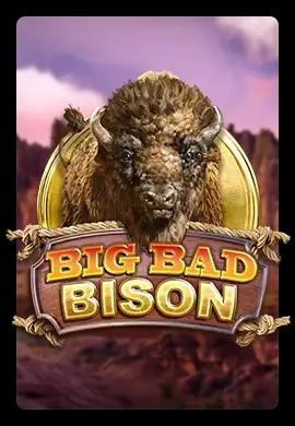  Online Slots - Wacko Online Casino