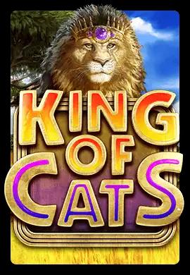  Online Slots - Wacko Online Casino
