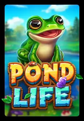  Online Slots - Wacko Online Casino