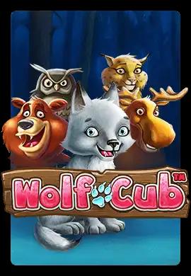  Online Slots - Wacko Online Casino