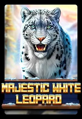  Online Slots - Wacko Online Casino