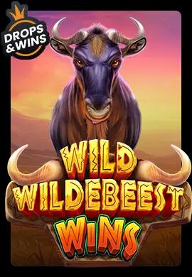  Online Slots - Wacko Online Casino