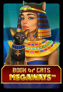  Online Slots - Wacko Online Casino
